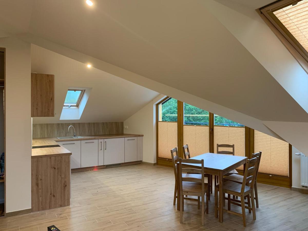 Mlynek Parkowa Apartman Zakopane Kültér fotó