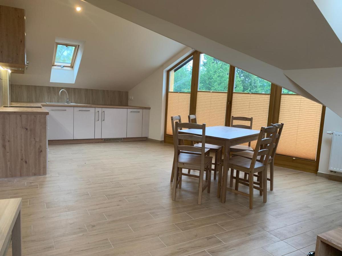Mlynek Parkowa Apartman Zakopane Kültér fotó
