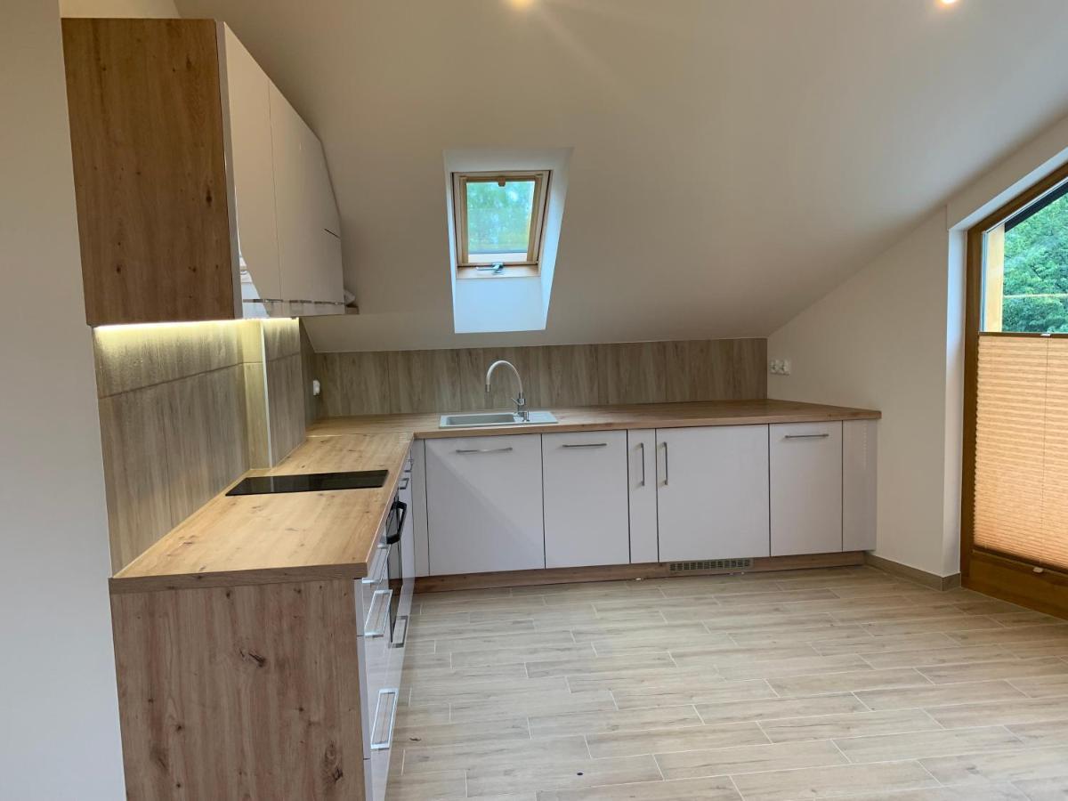Mlynek Parkowa Apartman Zakopane Kültér fotó