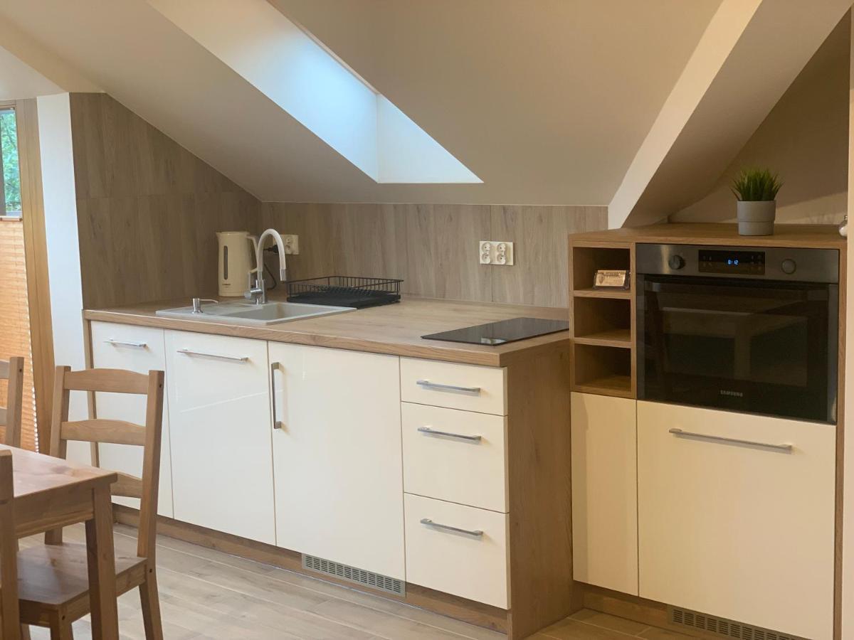 Mlynek Parkowa Apartman Zakopane Kültér fotó