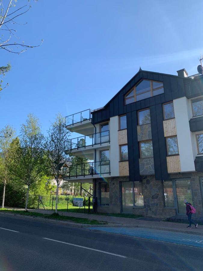 Mlynek Parkowa Apartman Zakopane Kültér fotó
